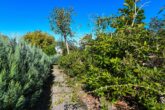 Einfamilienhaus auf einem großen Eigentumsgrundstück in ruhiger Wohnlage - Garten