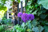 Einfamilienhaus in einem Gartenparadies mit eigenem Bachlauf - Straßenansicht