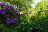 Einfamilienhaus in einem Gartenparadies mit eigenem Bachlauf - Gartenansicht